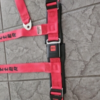 Schroth Matter Automatic Hosentrger Sicherheitsgurte