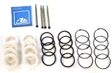 Ferrari 365GT4 2+2 Vorder Achse ATE Bremszangen Reparatursatz 40mm